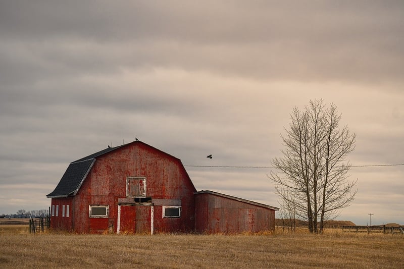 Rustic Barn Wedding Venue